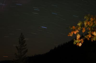 stars
