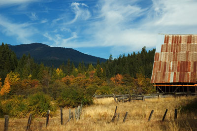 cabin